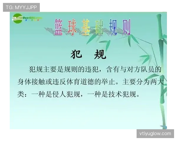 篮球规则中技术犯规的认定标准与处罚解析 篮球规则中技术犯规的认定标准与处罚解析